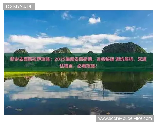篮球APP彩票与数字高频玩法防骗避坑指南